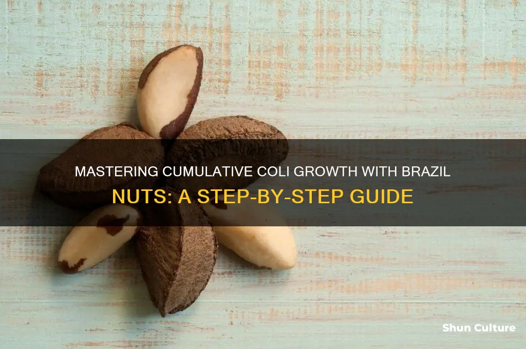 how do I build cum up thecoli brazil nuts