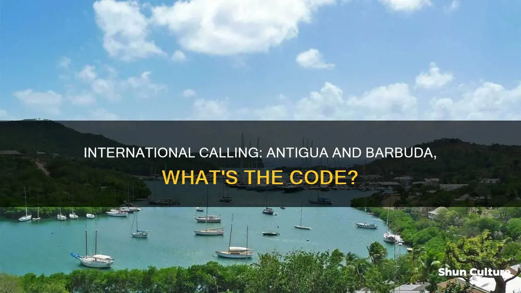 how do I call antigua and barbuda