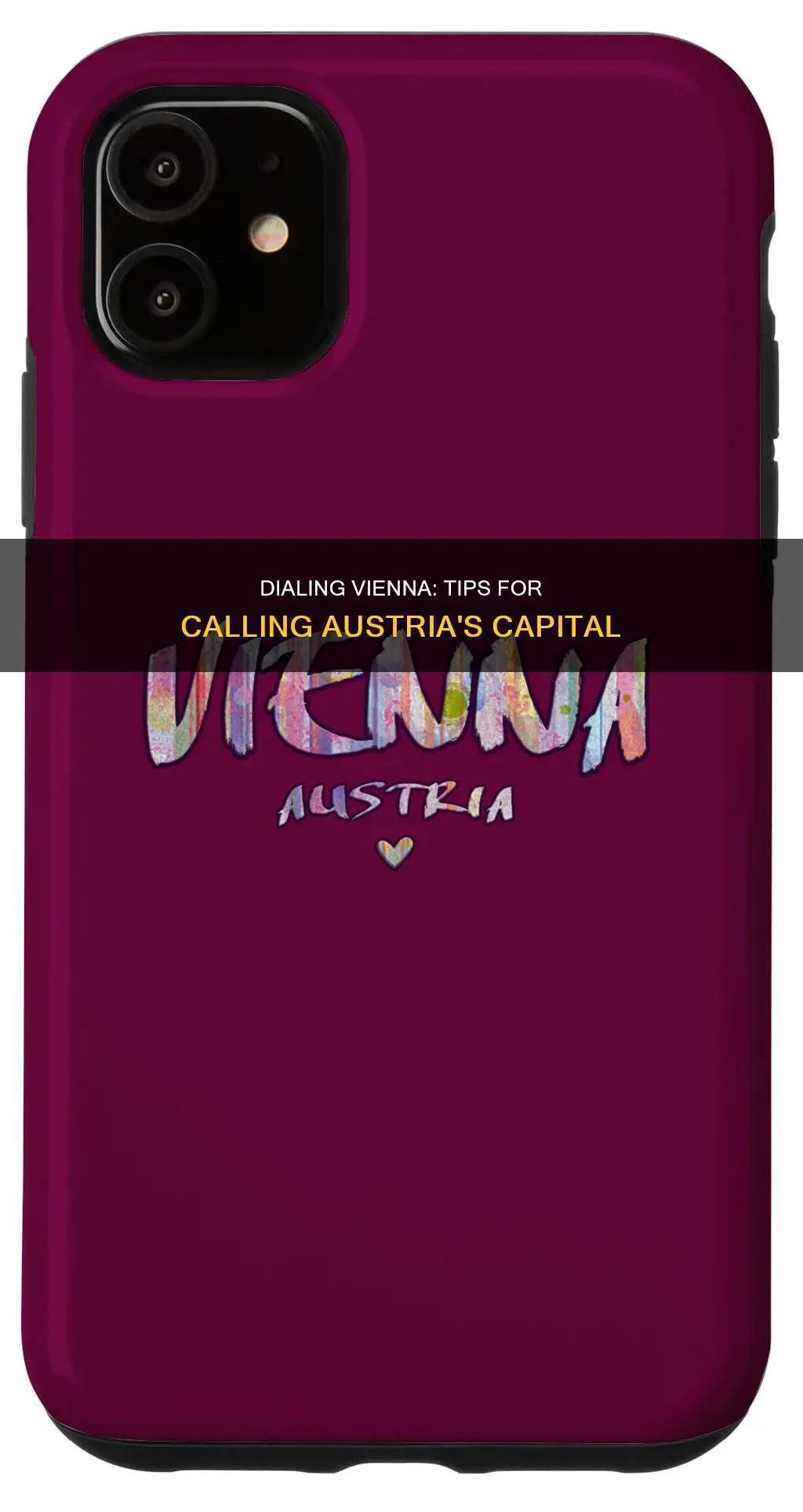 how do I call vienna austria