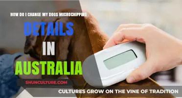 Updating Microchip Details for Your Dog in Australia