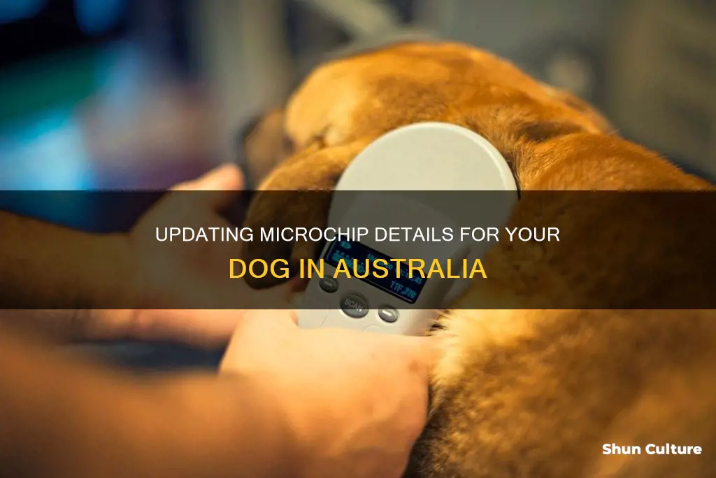 how do I change my dogs microchipping details in australia