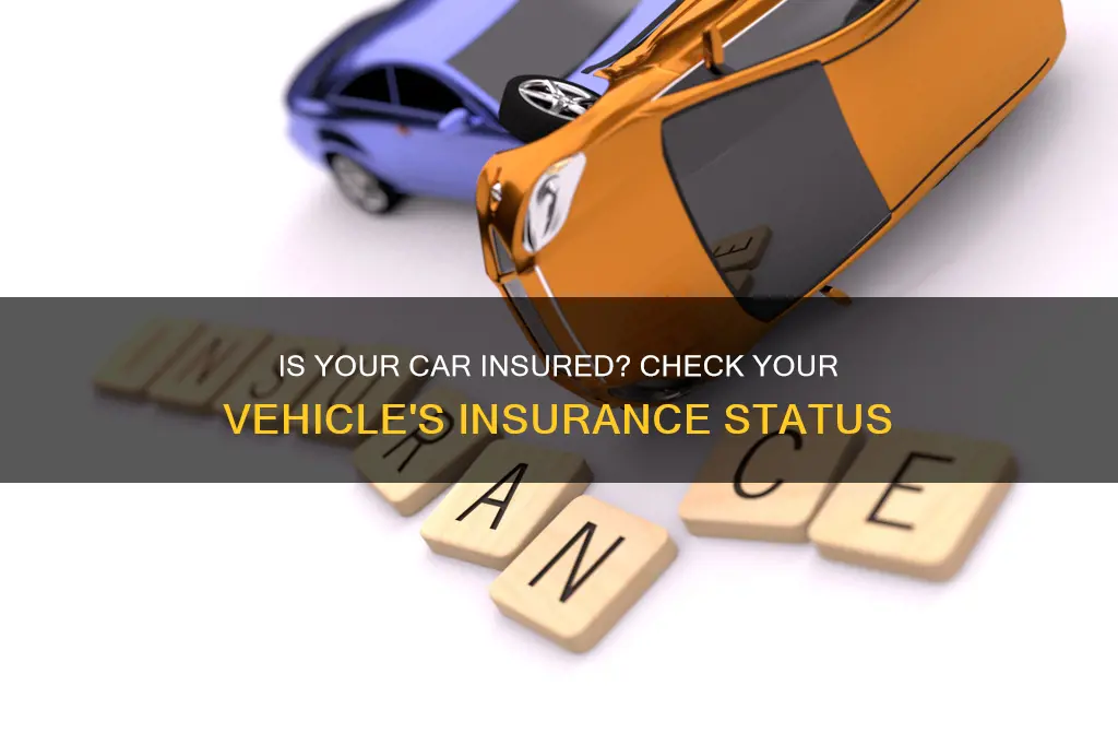 how do I check if my car is insured australia