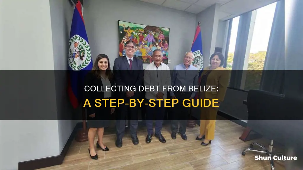 how do I collect debt from belize