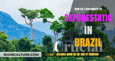 Unintentional Impact: How Your Choices Fuel Brazil's Deforestation Crisis