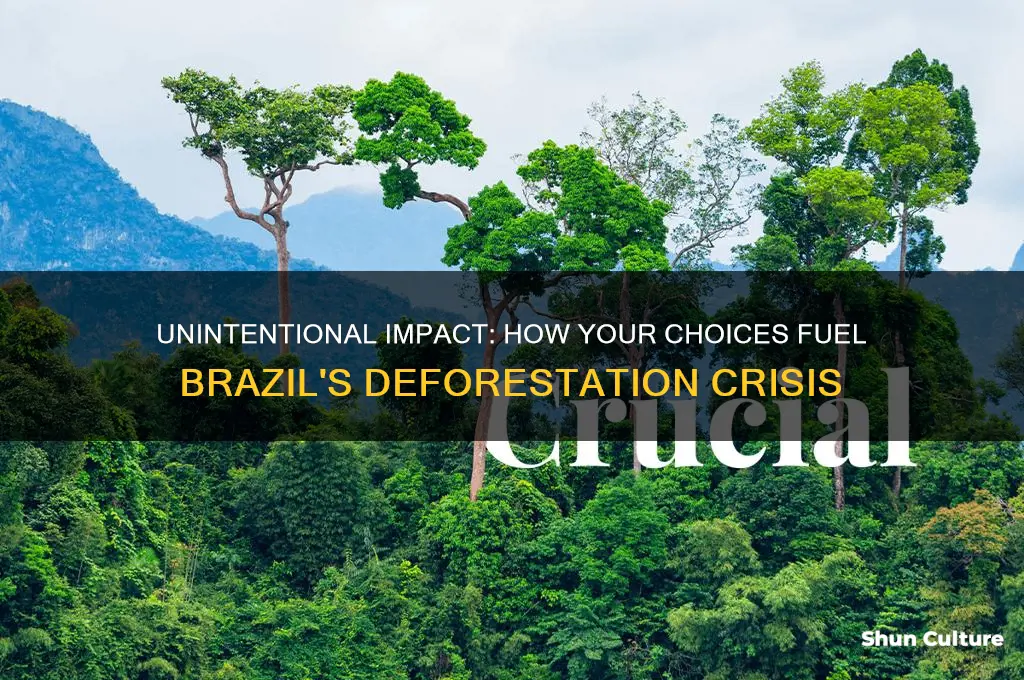 how do I contribute to deforestation in brazil