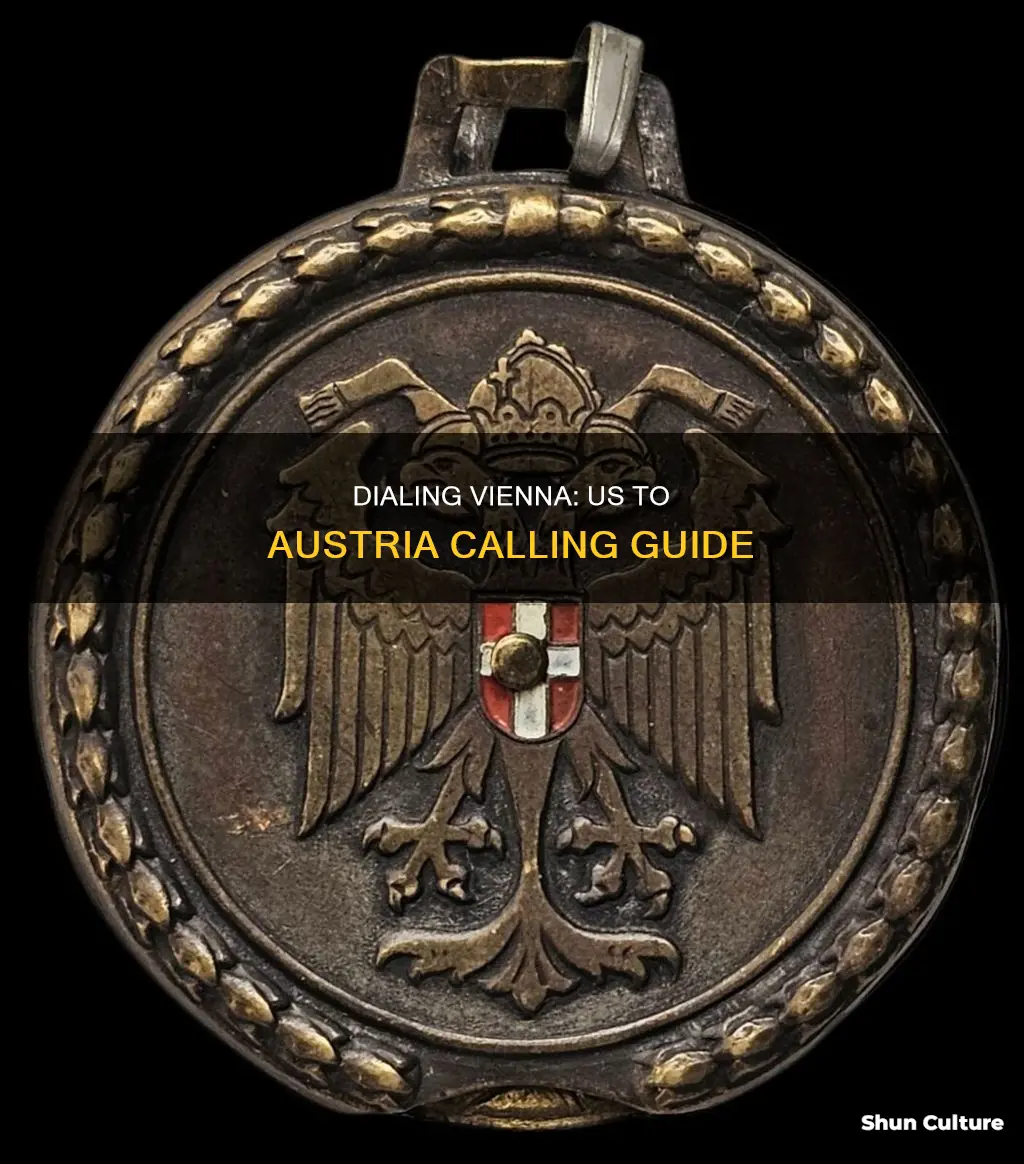 how do I dial vienna austria from us