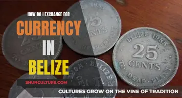 Belize Currency Exchange: A Traveler's Guide