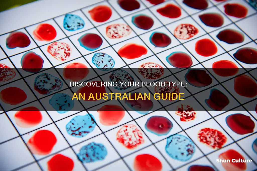 how do I find out my blood type australia