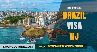Your Guide to Obtaining a Brazil Visa in New Jersey