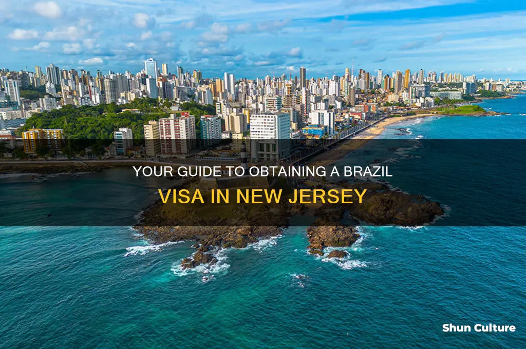 how do I get a brazil visa nj