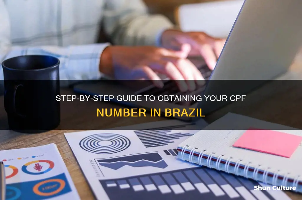how do I get a cpf number in brazil