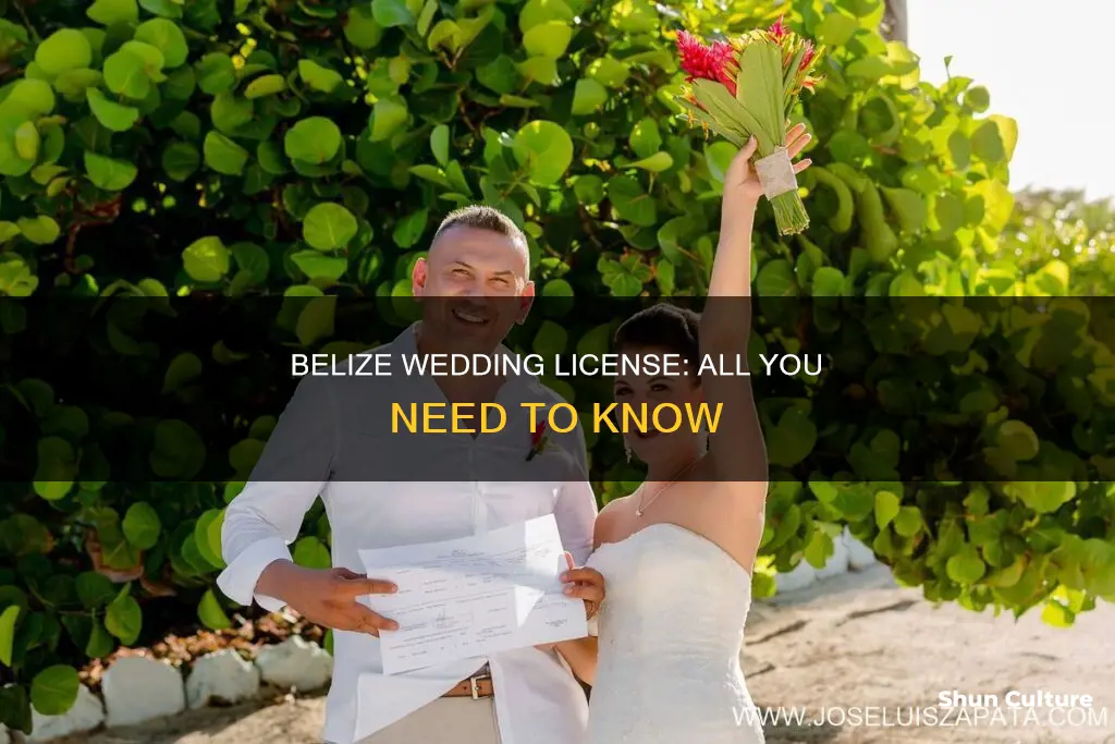 how do I get a marriage license in belize