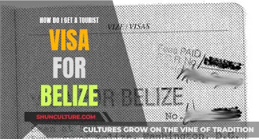 The Ultimate Guide to Tourist Visas for Belize