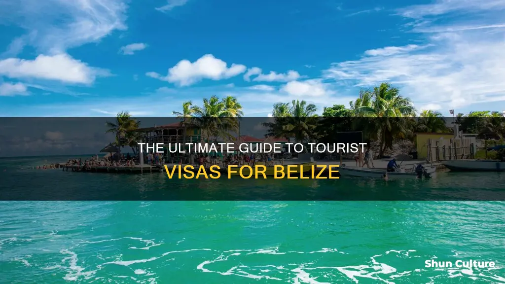 how do I get a tourist visa for belize