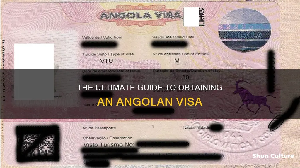 how do I get a visa for angola