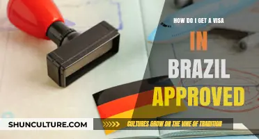 Mastering the Brazil Visa Approval Process: Essential Tips and Steps