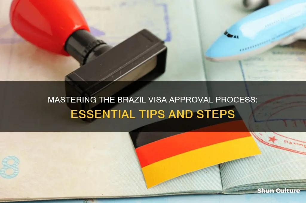 how do I get a visa in brazil approved