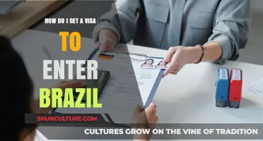 Step-by-Step Guide to Obtaining a Brazilian Visa for Travelers