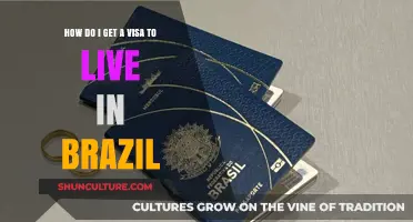 Your Guide to Securing a Brazil Residency Visa: Steps & Tips