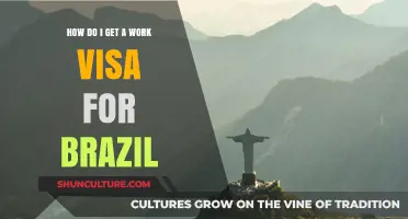 Navigating Brazil's Work Visa Process: A Comprehensive Guide for Foreigners