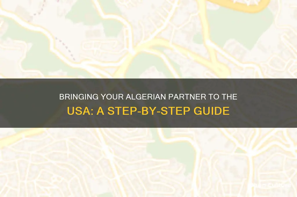 how do I get my algerian boyfriend to the usa