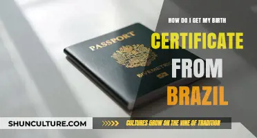 Obtaining Your Brazilian Birth Certificate: A Step-by-Step Guide for Applicants