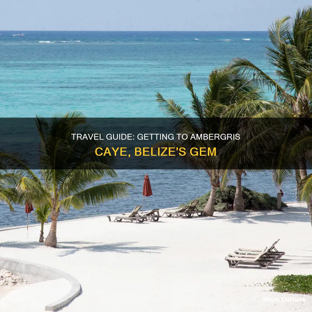 how do I get to ambergris caye belize from bze