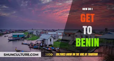 Exploring the Pathways to Benin: A Comprehensive Travel Guide