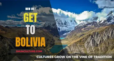 Exploring Bolivia: Travel Options and Adventures