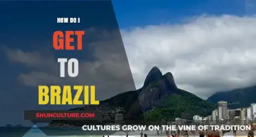 Traveling to Brazil: Essential Tips for Planning Your Journey