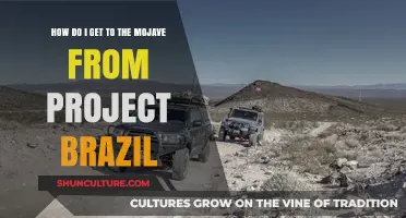 Navigating from Project Brazil to the Mojave: A Comprehensive Travel Guide