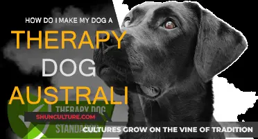 Training Your Dog to Be a Therapy Dog in Australia