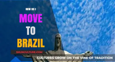Relocating to Brazil: Essential Steps for a Smooth Move Abroad