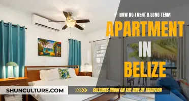 Belize Long-Term Apartment Rentals: A Guide