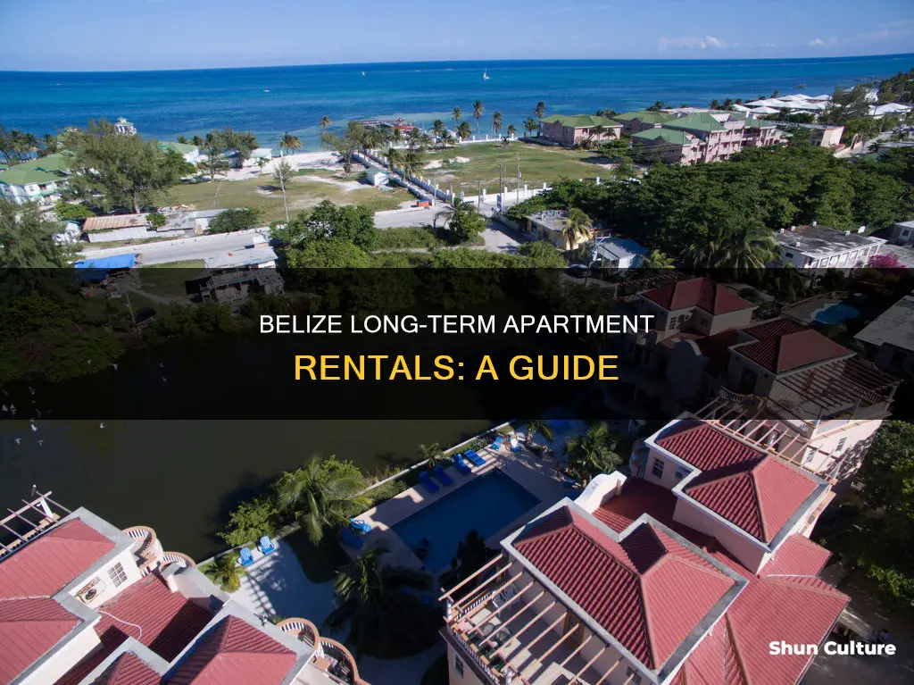 how do I rent a long term apartment in belize