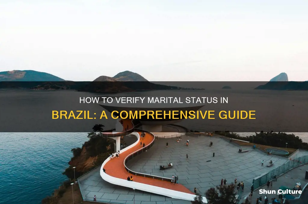 how do I research if someone in brazil is married