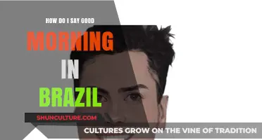 Saying Good Morning in Brazil: A Guide to Brazilian Greetings