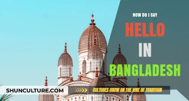 Greetings in Bangladesh: How to Say Hello Like a Local