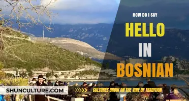 Greetings in Bosnian: A Beginner's Guide to Saying Hello Like a Local