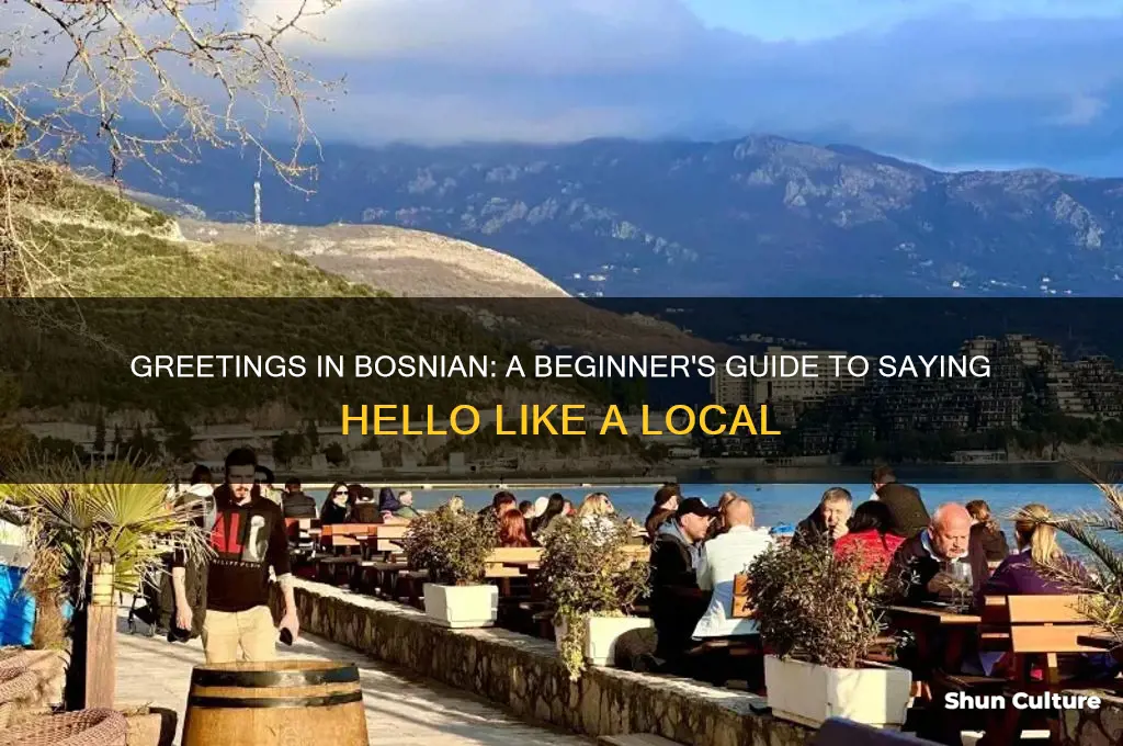 how do I say hello in bosnian