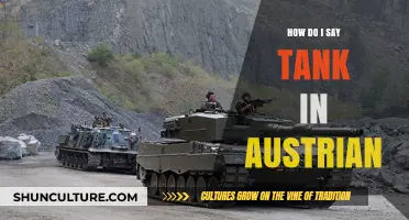 Exploring 'Tank' in Austrian: A Guide to Language