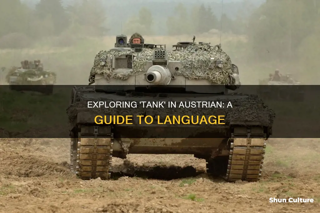 how do I say tank in austrian