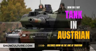 Learn to Say "Tank" in Austrian German Accurately