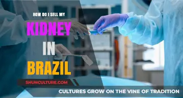 Selling Your Kidney in Brazil: Legal, Ethical, and Safe Options Explained