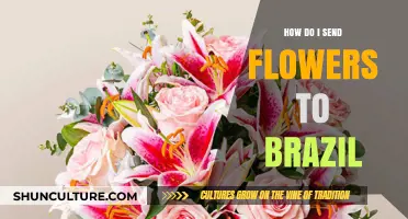 Sending Flowers to Brazil: A Simple Guide for International Delivery