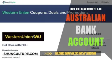 Transfer Money to Australian Accounts: A Simple Guide