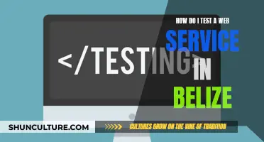 Testing Web Services: Belize-Style