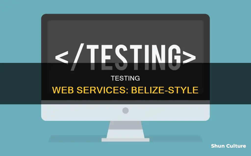 how do I test a web service in belize