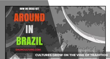 Exploring Brazil's Idea Exchange: Culture, Networks, and Innovation Spread
