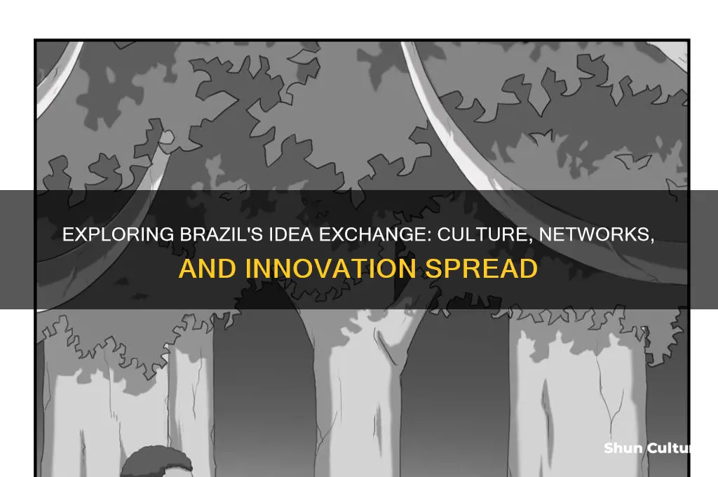 how do ideas get around in brazil